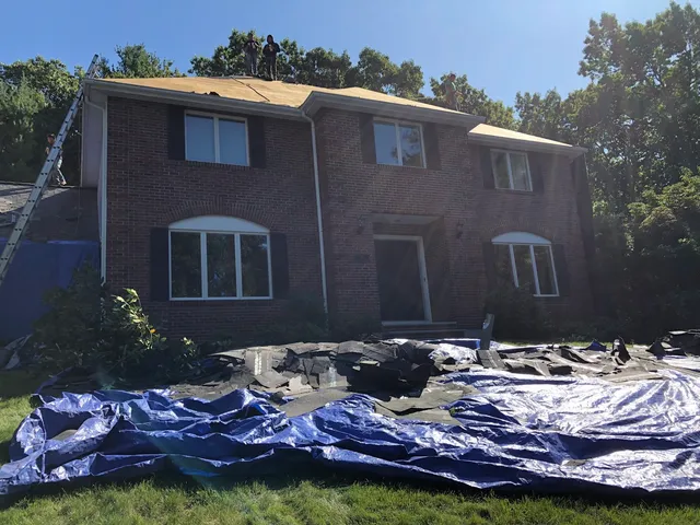 Rapid Roofing
