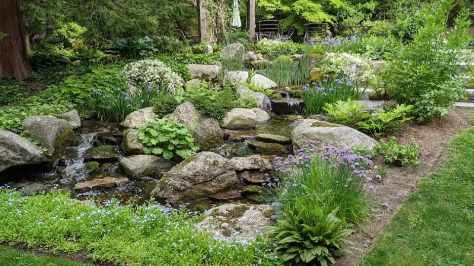Aquatic Dreamscapes of New England researched project photo
