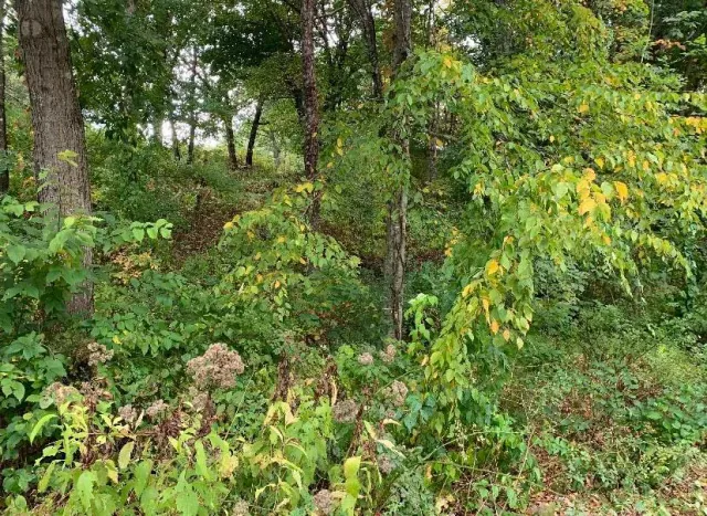 Before - Sherborn, MA