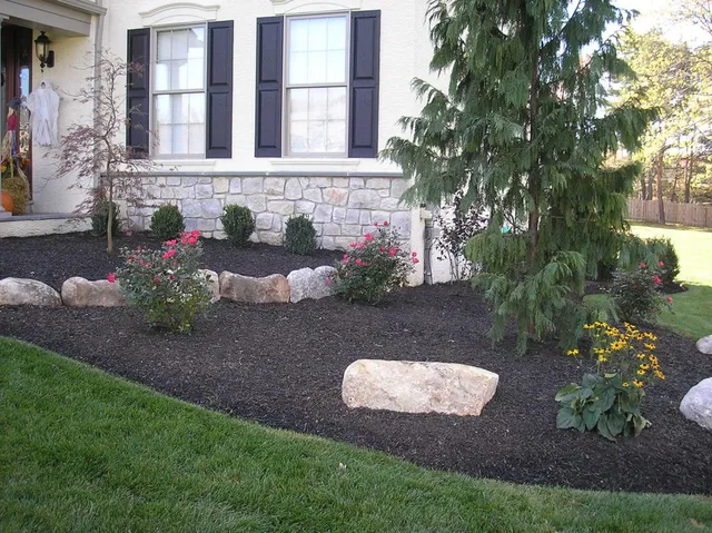 Landscaping & Repel work photo