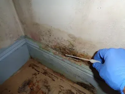 Frozen pipe split behind a kitchen wall in Brockton, MA