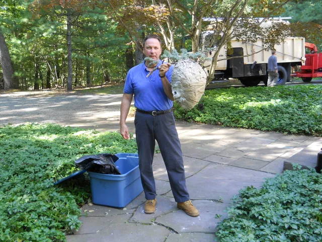 Mantis Pest Control LLC work photo