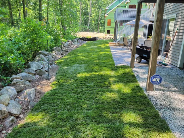 Tom's Yard Care researched project photo