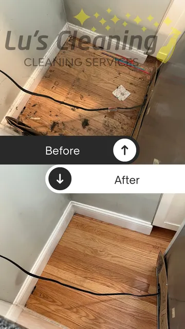 Lu's cleaning