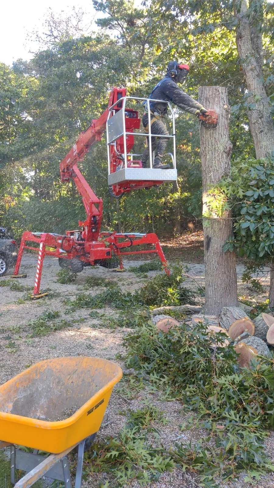 work photo from Google listing