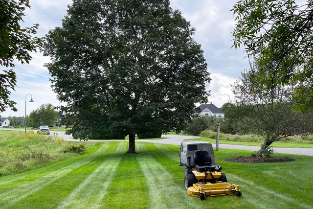 Picture of a lawn mower for lawn care service near me