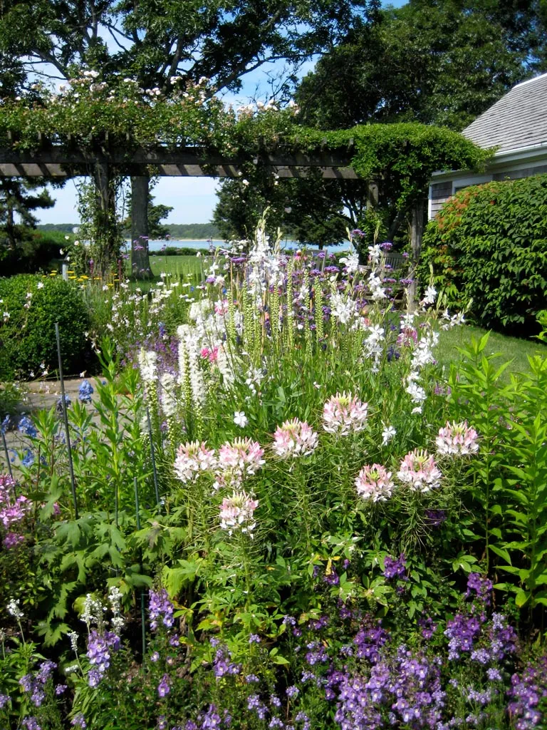 work photo from workingearthmarthasvineyard.com