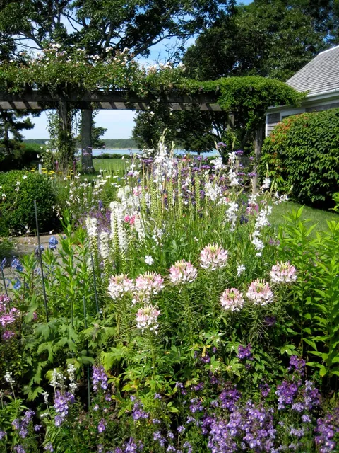 work photo from workingearthmarthasvineyard.com