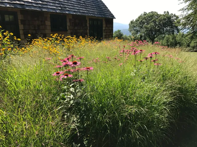Biasin Landscape & Lawn Service LLC work photo