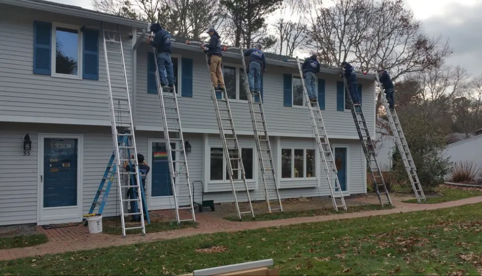 Six monkeys on ladders