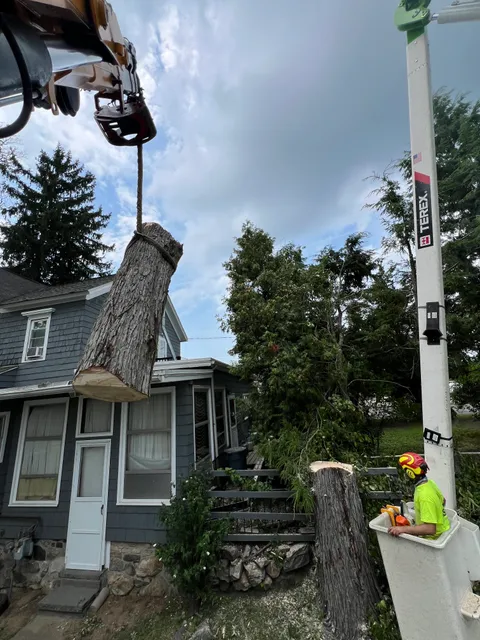 Barts Tree Service work photo