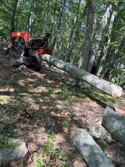 Excavation Connecticut — Pulla