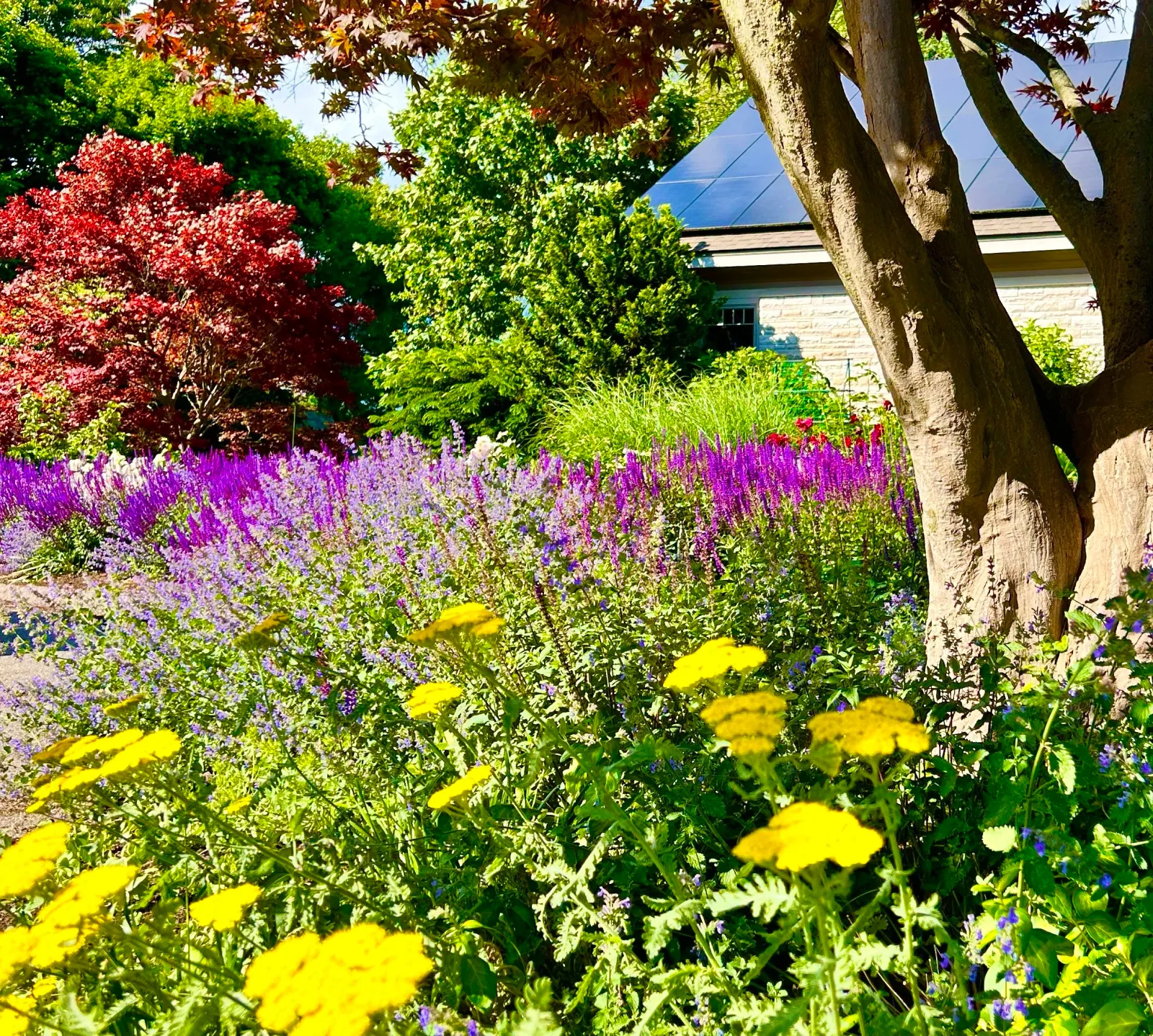 Color your landscape.jpg