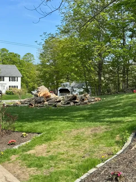 work photo from blackbeartreemaine.com