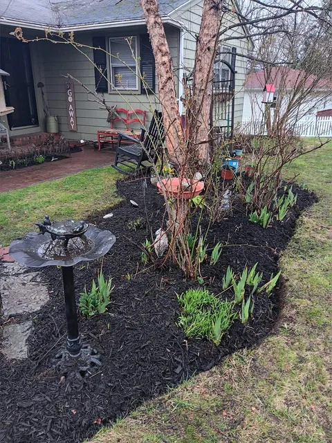 Tims tree & landscaping