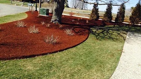 Portillo Landscaping LLC