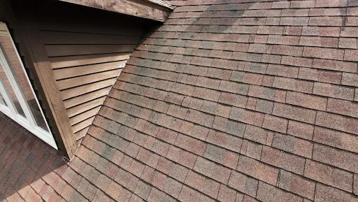 Review photo by Kevin Caster