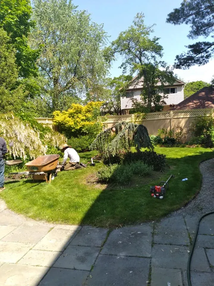 work photo from leonels-landscaping.com