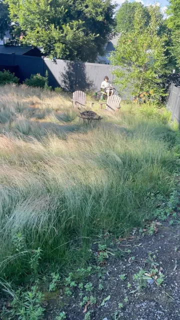 Time for a haircut💈💇

#concordma #hslu #highstlawnunlimited #tallgrass #lawncare #flowers #landscaping #lawncare #planting gardening #lawnmower #color #summer  #stripenation #lawncarenut #lawncarenation
#lawncareservice
#landscapepainting
#landscapes
#yards #mowers #zeroturn #lawncarelife
#landscapers #stripe #stripes #lawncarecommunity
#stripelifegear #longgrass 
#backyard #grass