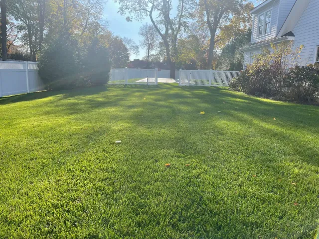 A large lush green lawn with a white fence in front of a house.
