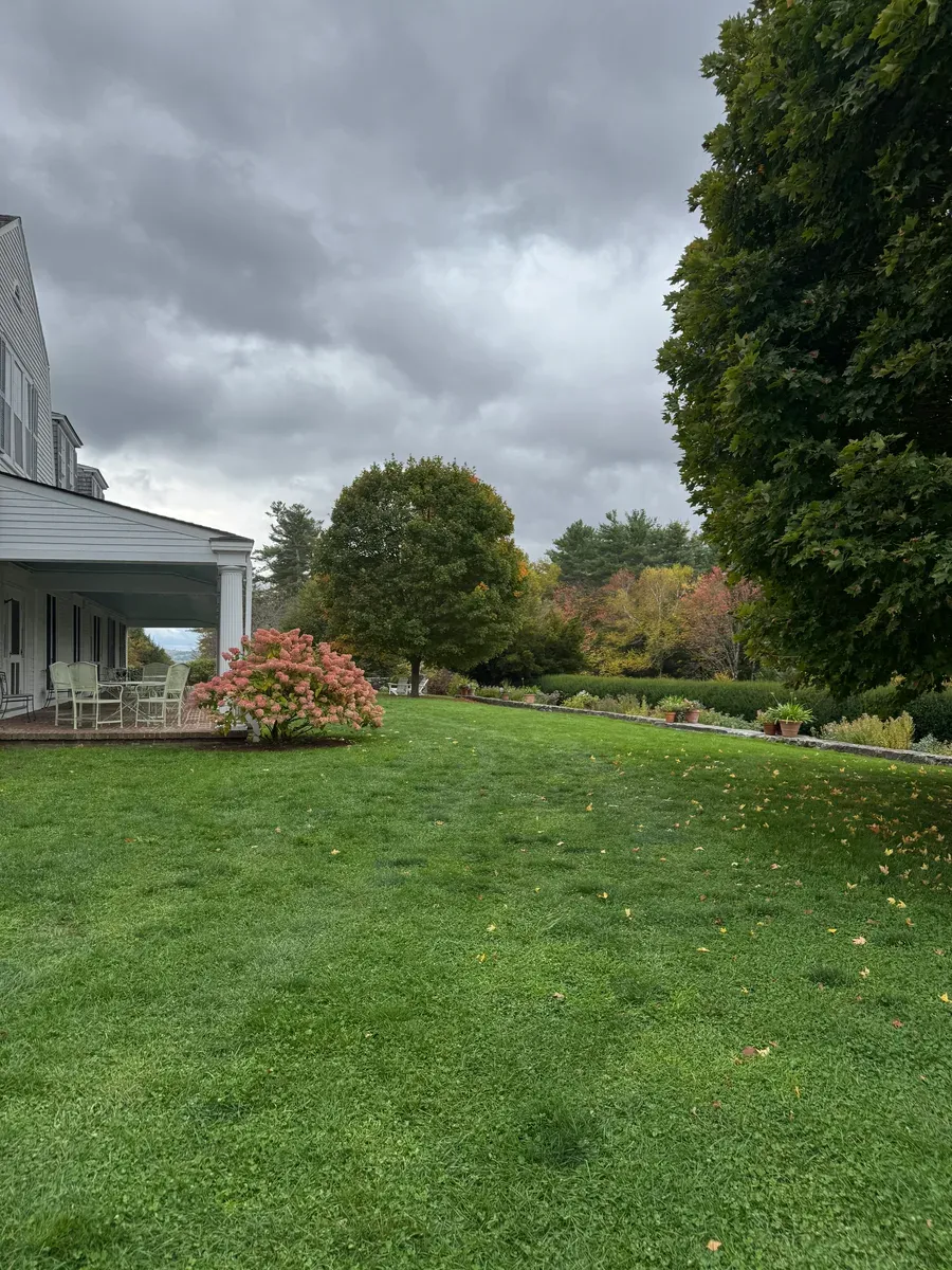 Organic lawn care result