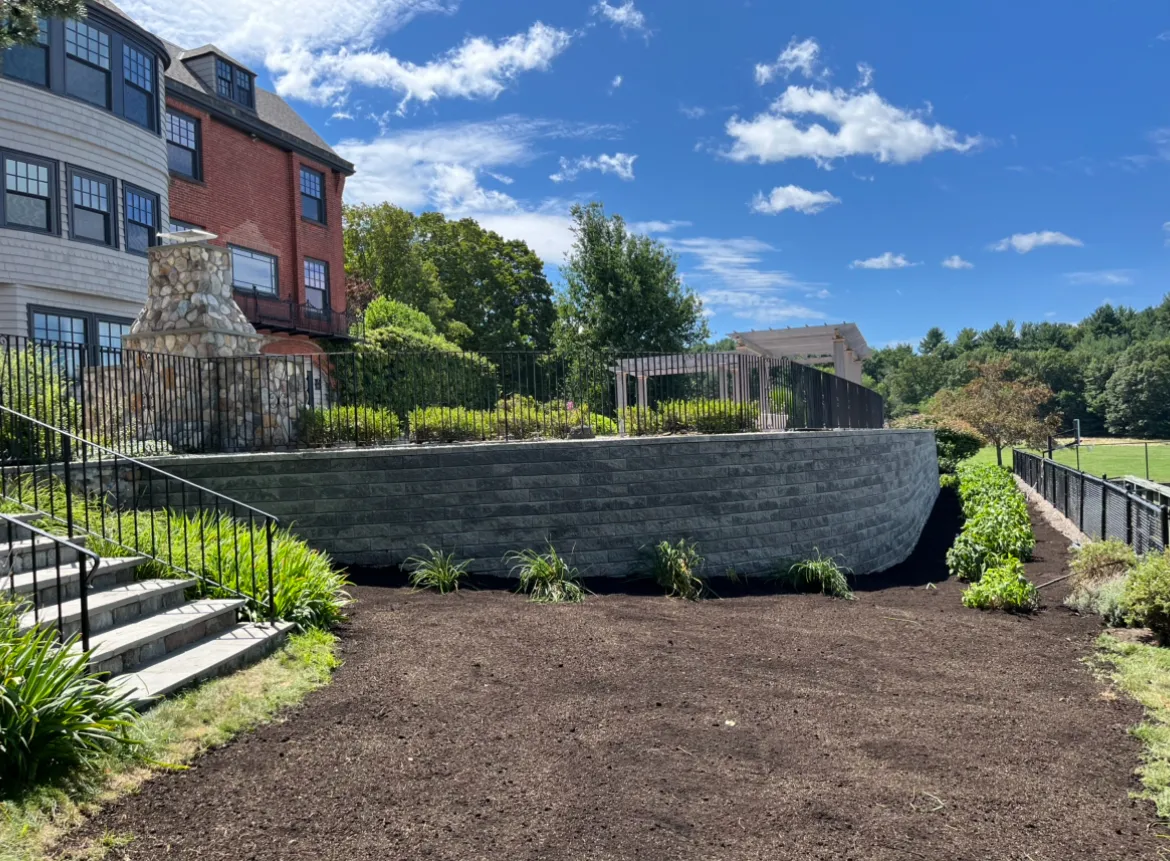 Towne Tree & Landscaping