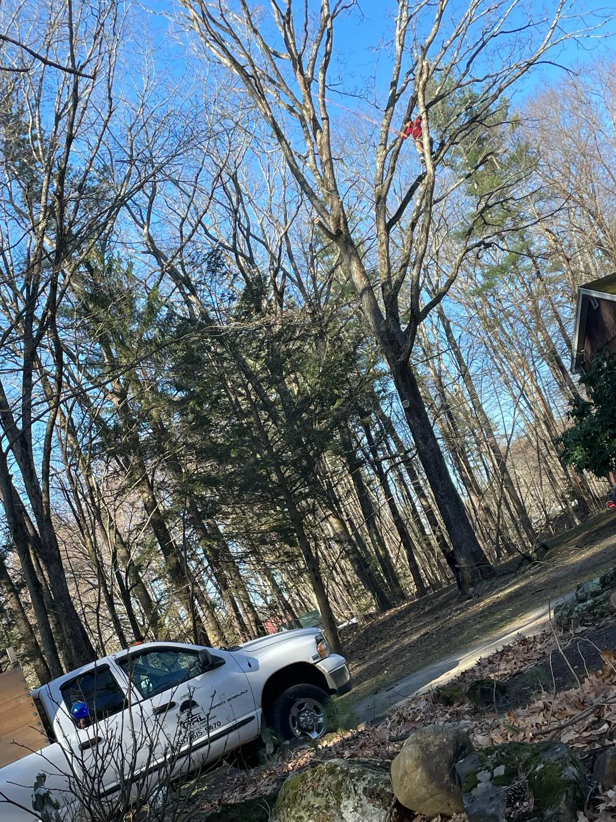 GRL Landscaping & Tree Services