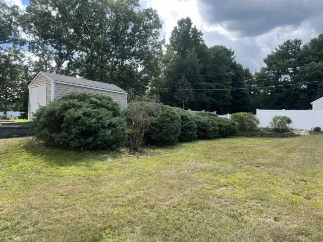 Residential shrub pruning - After