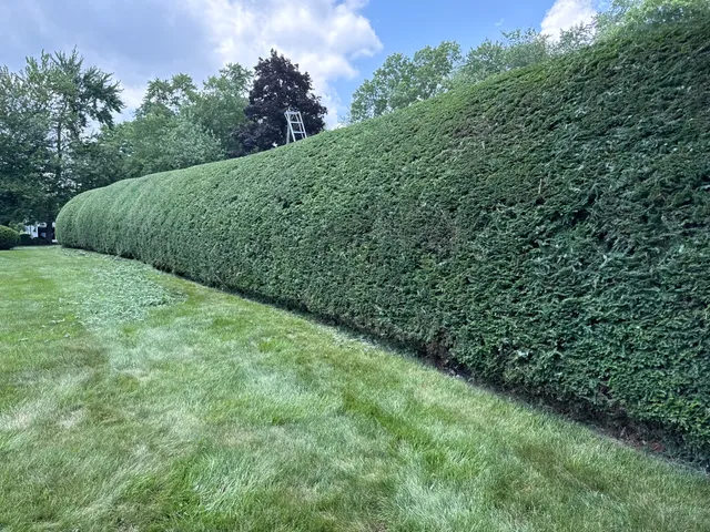 Christo's & Sons Landscaping work photo