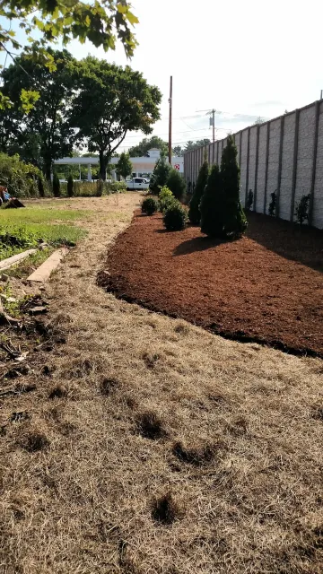 Grasshopper Yard Grooming researched project photo