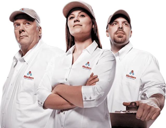 work photo from modernpest.com