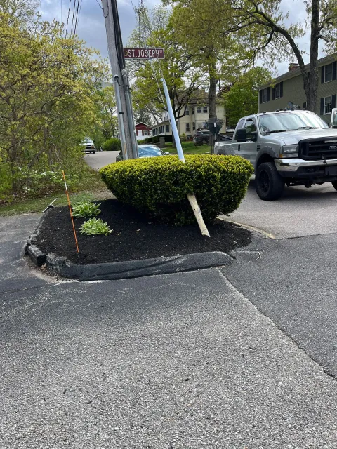 A truck is parked on the side of the road next to a bush.