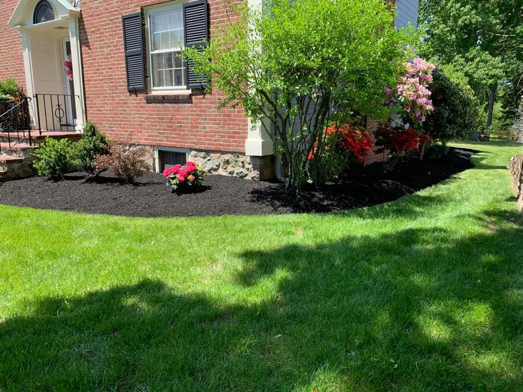 Pro MJL Landscaping and Construction