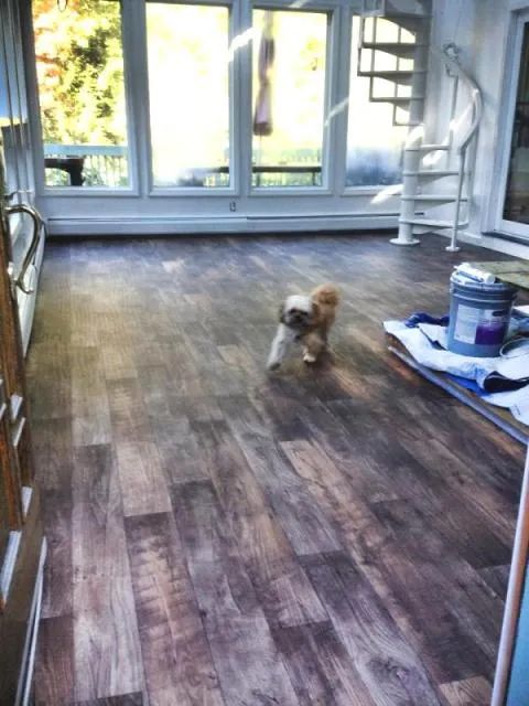 Pet friendly flooring in Nashua, NH from ADF Flooring LLC