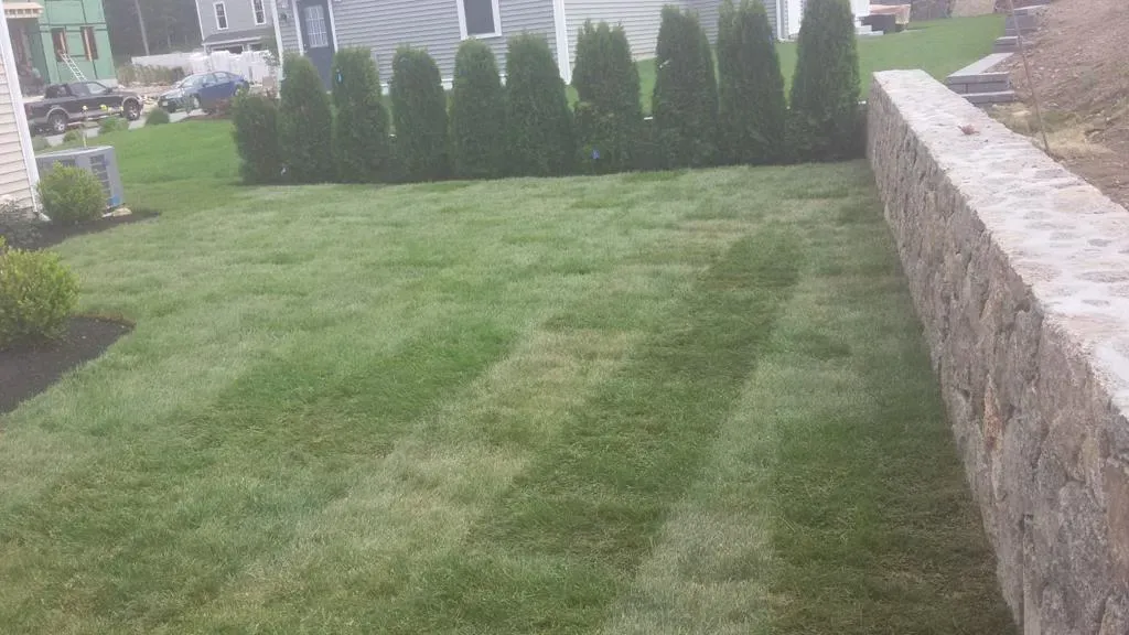 Landscaping