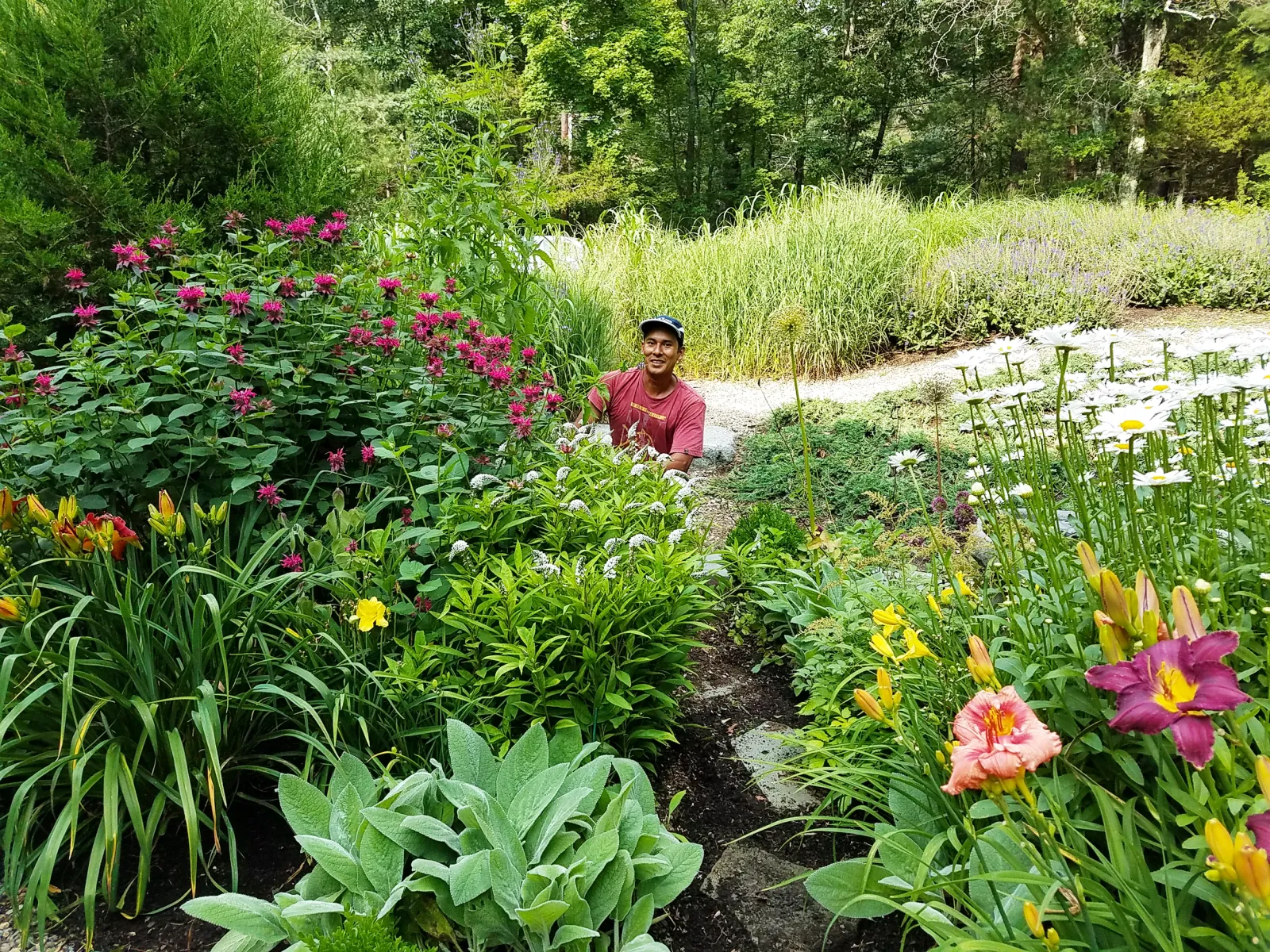 A person with a dark skin tone is crouching among colorful flowers in a lush garden, surrounded by green plants and tall trees in the background.