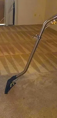 Before/After Carpet Cleaning