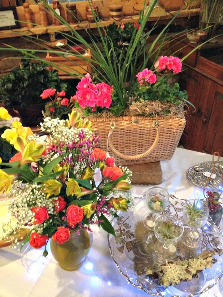 Pine Ridge Farm - Boylston Ma