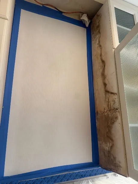 Fast Mold Testing - Boston