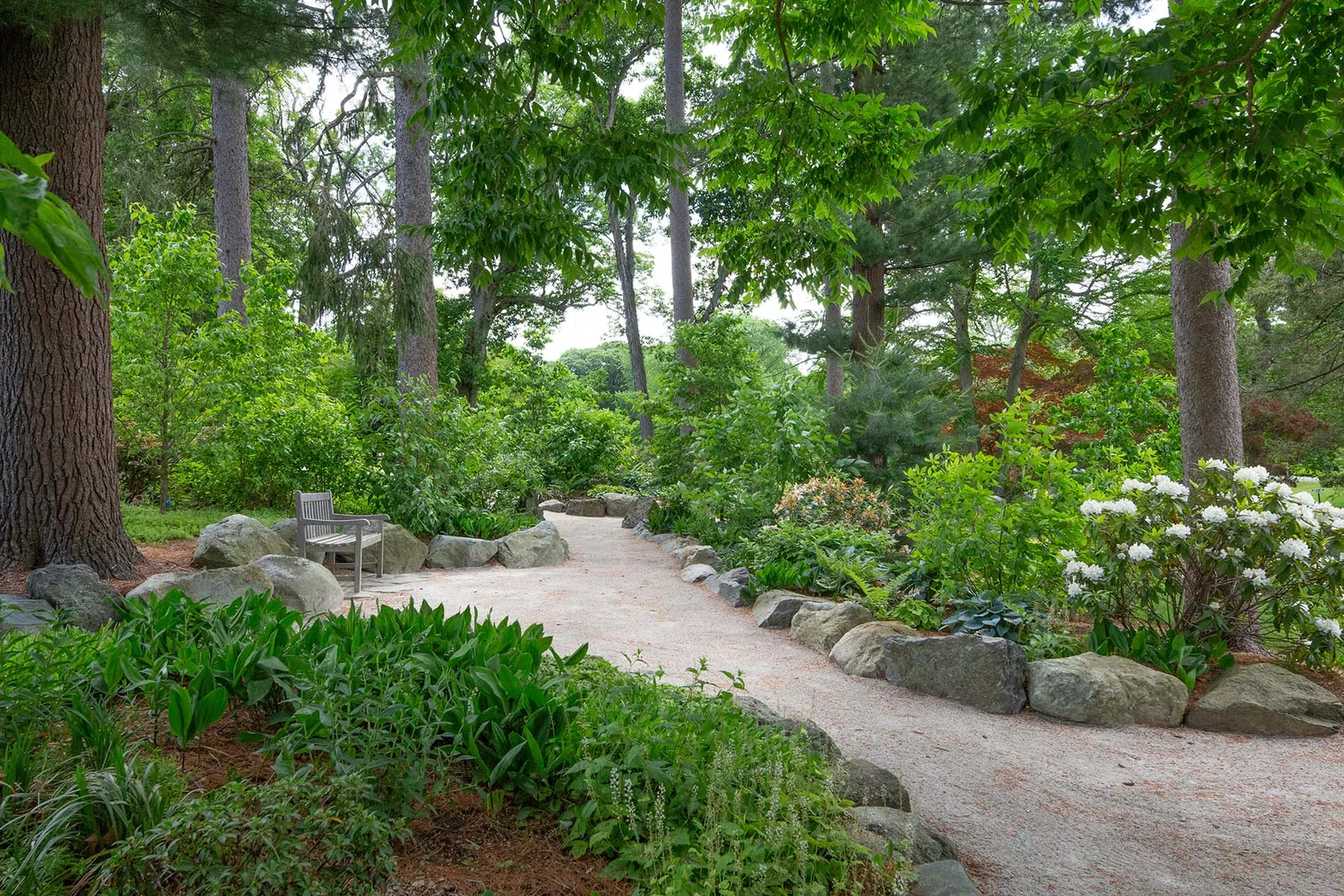 work photo from curtisslandscape.com