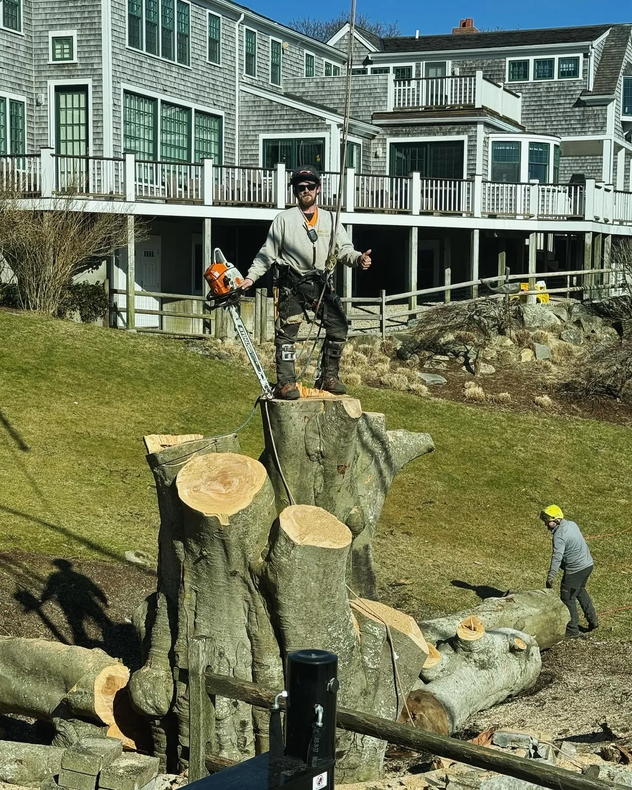 work photo from Google listing