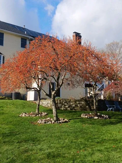 Oscar and Sons Landscaping
