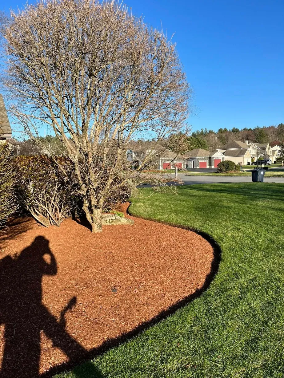 work photo from bentleysgreenscapes.com