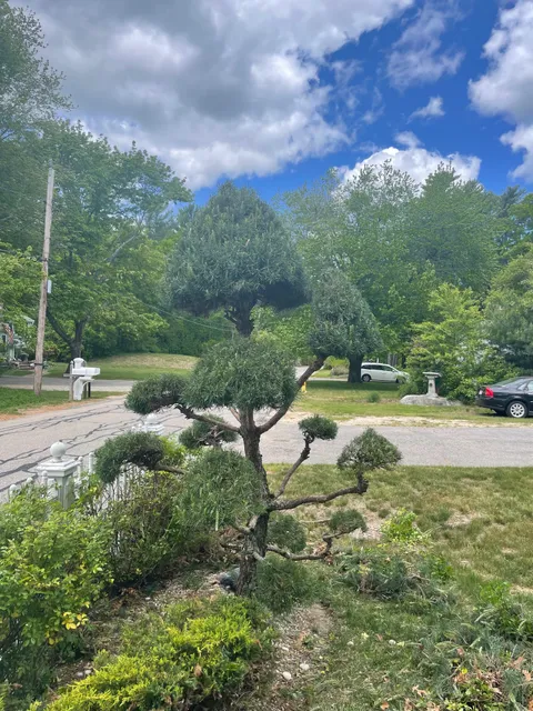 Summit Landscape work photo