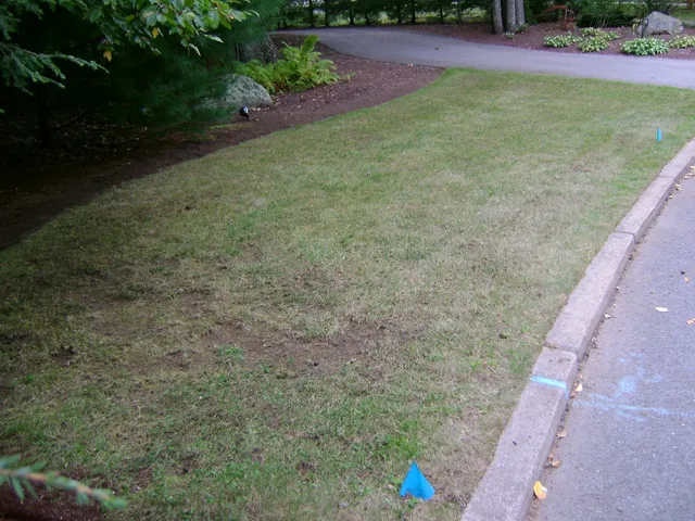 work photo from theprovidencegrasscompany.com