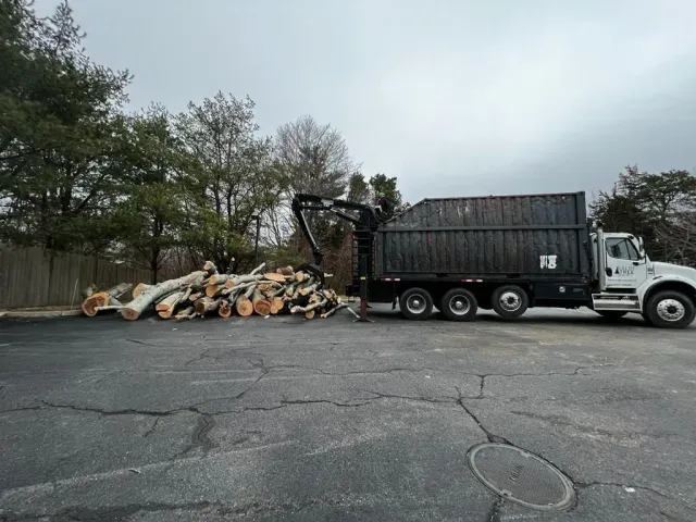Lot Clearing Service