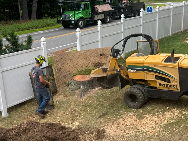 J. Messina Stump Grinding work photo
