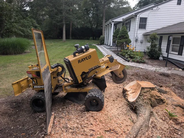 Glocester Stump Pros work photo
