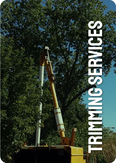 TRIMMING SERVICES