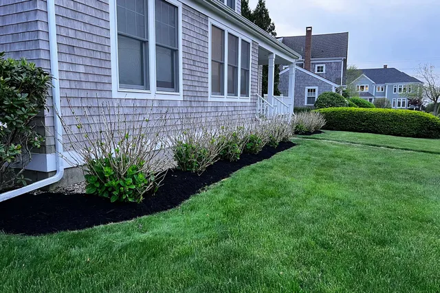 garden bed clean up and weeding service near me